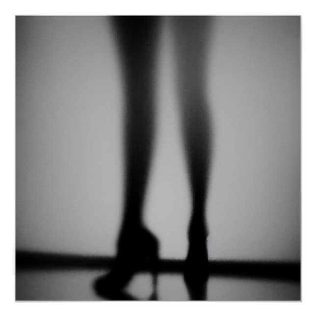 Echos im Schatten Poster (Vorderseite)