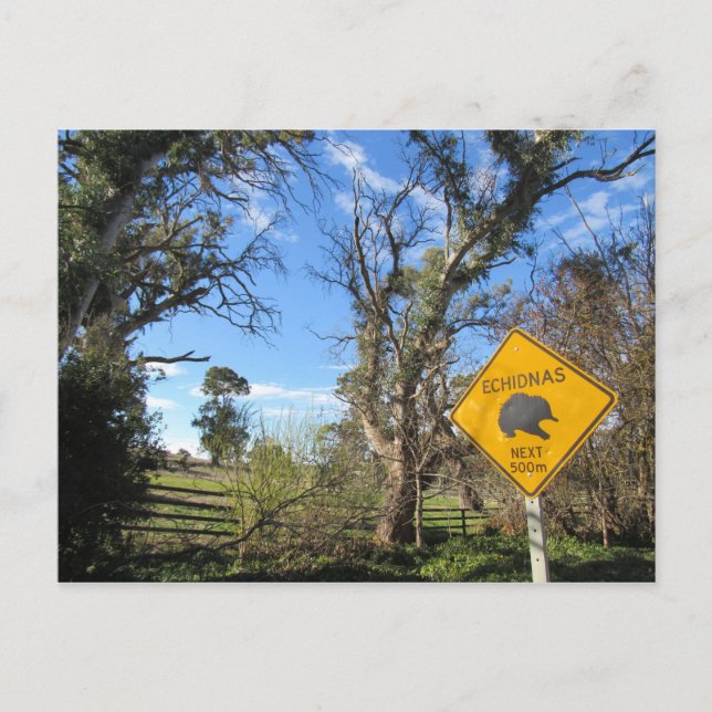 Echos voran postkarte (Vorderseite)