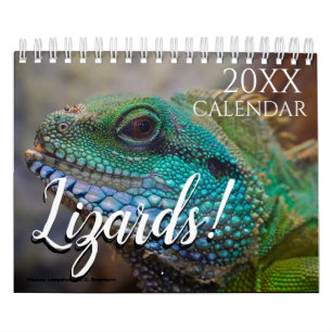 Echsen-Themen-Wandkalender 2027 Natur Kalender