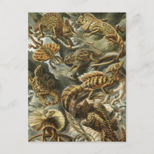 Echsen von Ernst Haeckel Vintage Lacertilia Tier Postkarte