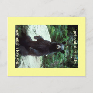 echt erschreckt postkarte