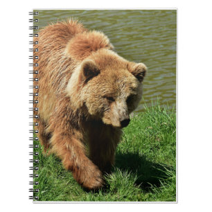 echte Bärengeschenke, Grizzlybär, Grizzlybären-Jou Notizblock
