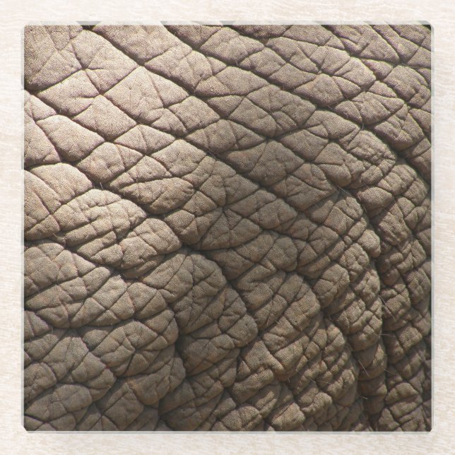 Echte Elefantenhaut Textur, zerknittert. Glasuntersetzer (Vorderseite)