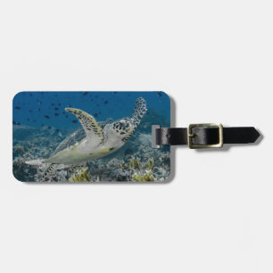 Echte Karettschildkröte Schwimmen Gepäckanhänger