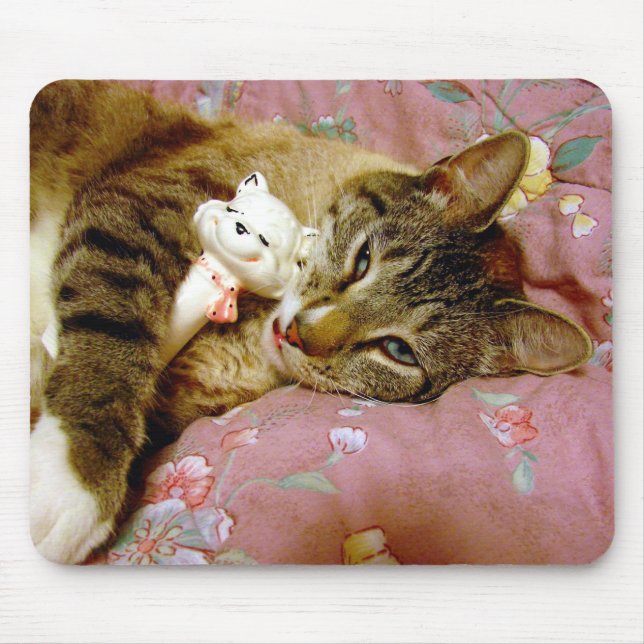 Echte Katze, falsche Katze Mousepad (Vorne)