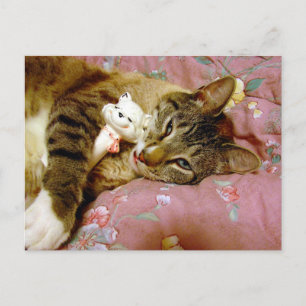 Echte Katze, falsche Katze Postkarte