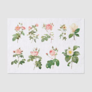 Echte (nicht KI) Vintage-Botanische Blumen Seidenpapier