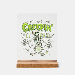 Echtes Skelett Halloween Knochen Spinne Wir Acrylschild