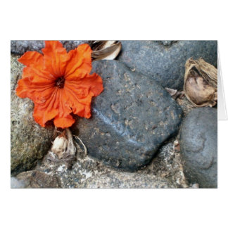 éclaboussure de couleur