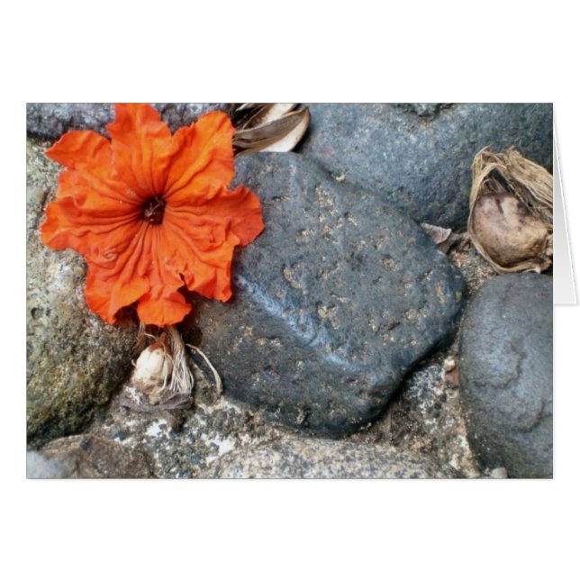 éclaboussure de couleur (Devant horizontal)