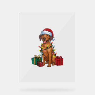 Éclairage de Noël Père Noël Rhodesian Ridgeback Ch