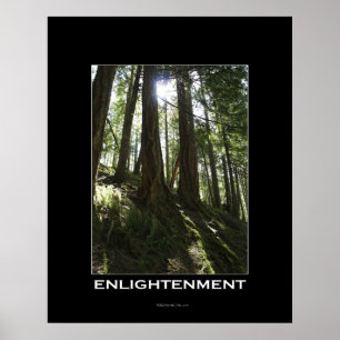 ÉCLAIRAGE Forêt Motivationnel Poster photo
