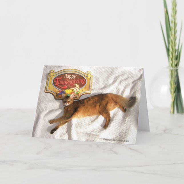 Éclairer la carte d'action de grâce du top-model (Devant)