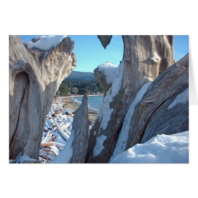 Éclats de neige en bois (Devant horizontal)