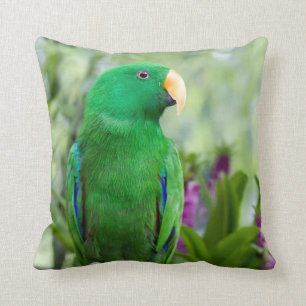 Eclectus Papageien-Mann Kissen