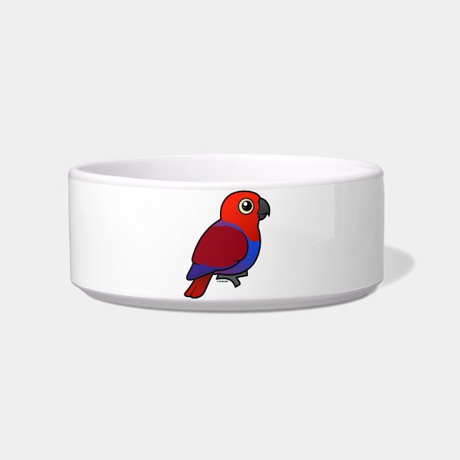 Eclectus Papageienfrau Napf (Vorderseite)