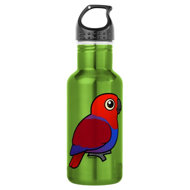 Eclectus Papageienfrau Trinkflasche (Vorderseite)