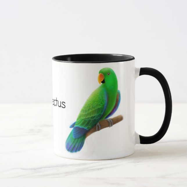 Eclectus Parrots la tasse (Droite)