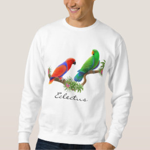 Eclectus plappert Sweatshirt nach