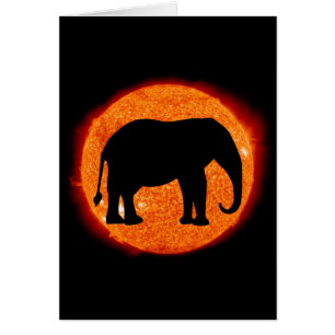 Éclipse solaire éléphant