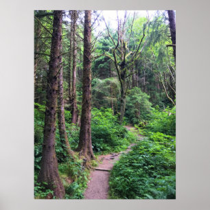 Ecola Staat Park, Cannon Beach, Oregon Poster