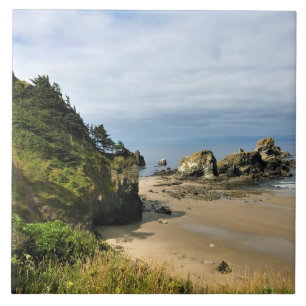 Ecola State Park, Cannon Beach Fliese