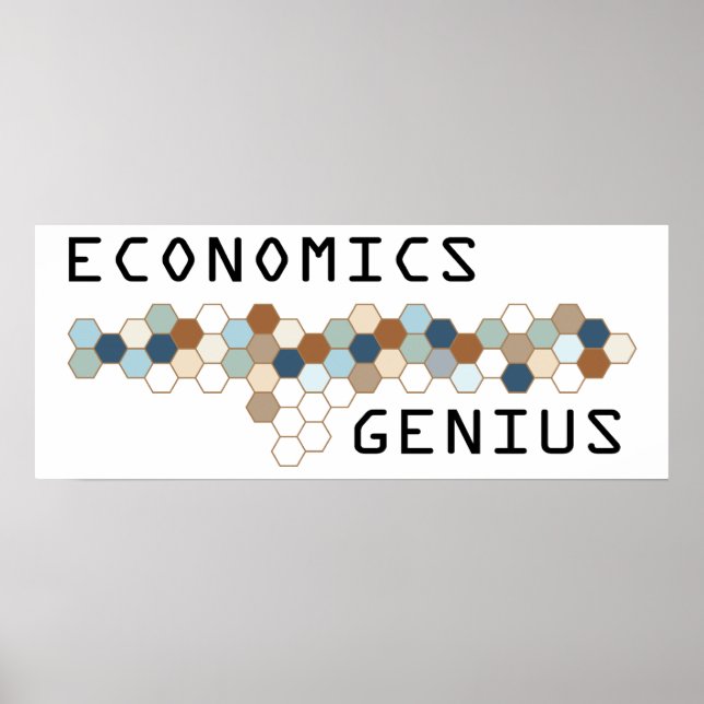 Economics Genius Poster (Vorne)