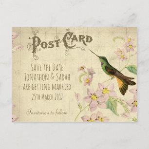 Économies de cru le colibri de carte postale de