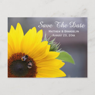Économies de tournesol la carte postale de mariage