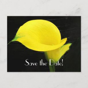 Économies de zantedeschia la carte postale de date