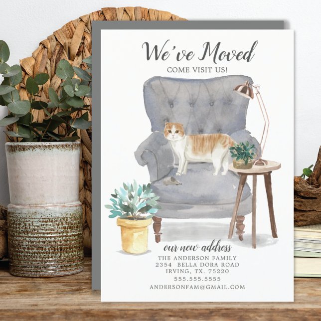 Écossais Pile Chat Moving Faire-part (Créateur téléchargé)