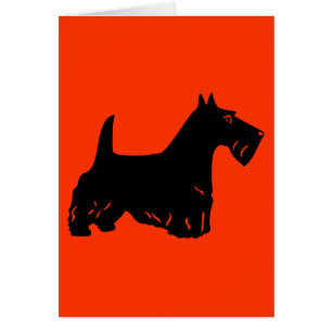 Écossais Terrier