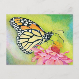 Écrivez des cartes postales aux Démocrates - Briga