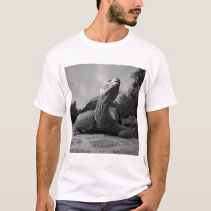 Ecuador, Galapagos-Inseln Nationalpark, Santa T-Shirt