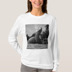 Ecuador, Galapagos Islands National Park, Santa T-Shirt