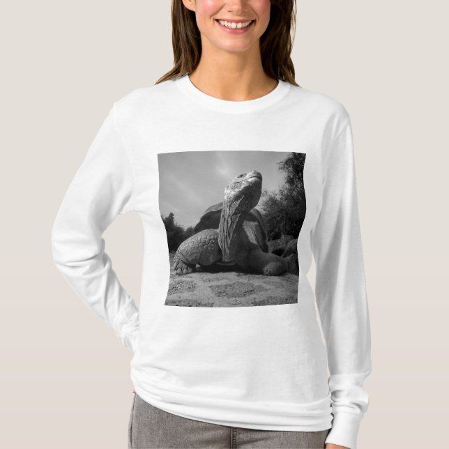 Ecuador, Galapagos Islands National Park, Santa T-Shirt (Vorderseite)