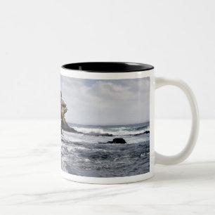 Ecuador, Galapagos, Santiago (auch James genannt). Zweifarbige Tasse