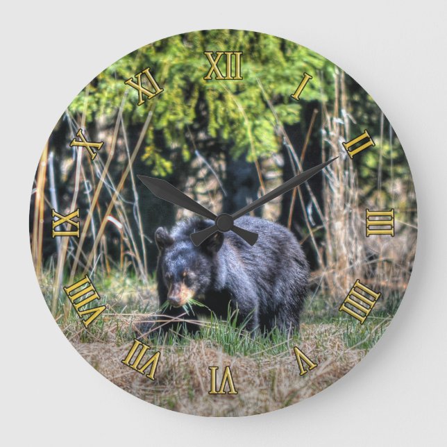 Écub d'ours noir sauvage et horloge photo de la fa (Recto)