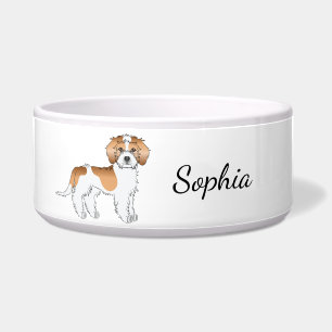 Écuelle Abpricot Parti-color Mini Goldendoodle