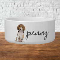 Alimentation Beagle personnalisée Chien