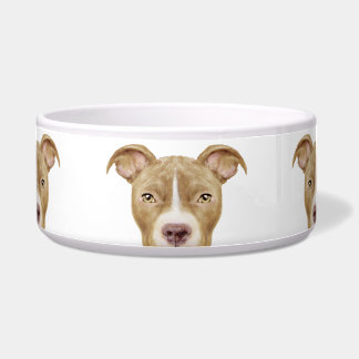 Écuelle Alimentation de chien en céramique brun de taureau
