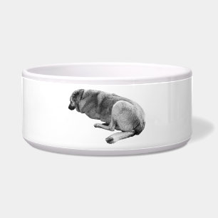 Écuelle Attente Patiente