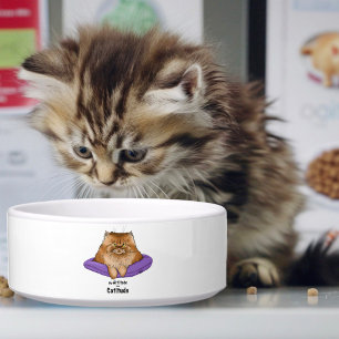 Écuelle Attitude de chat drôle