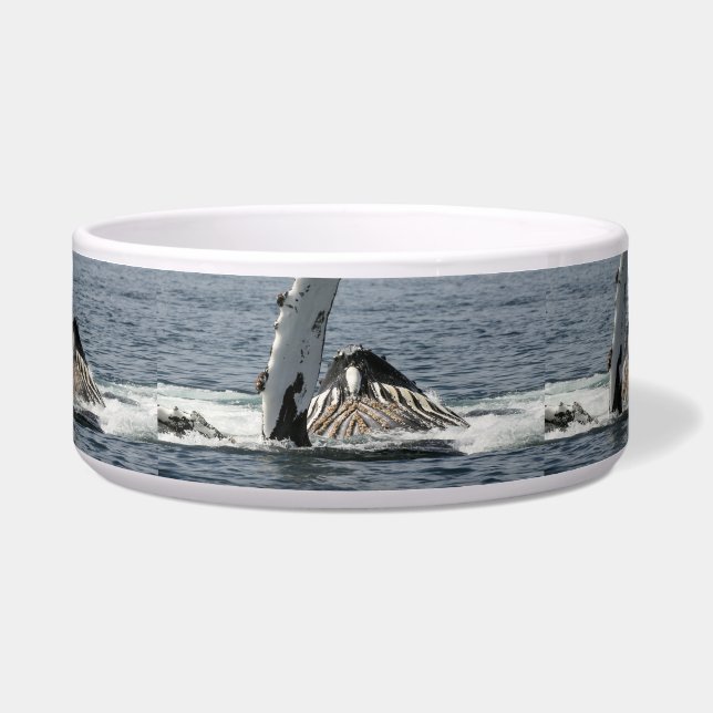Écuelle Baleine à bosse (Devant)