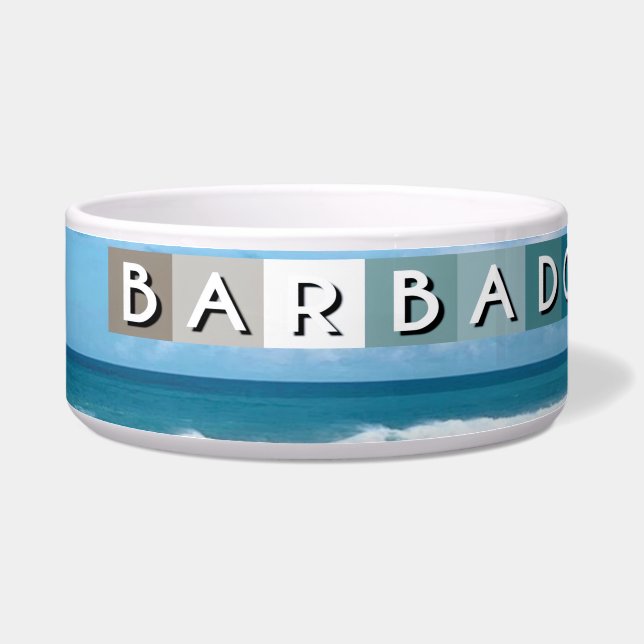 Écuelle Barbade Beach (Gauche)
