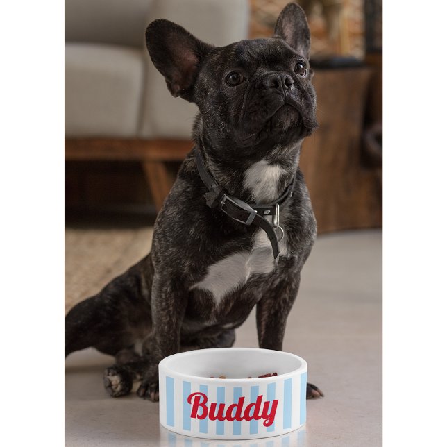 Écuelle Blue White Stripes Chien Chiot Chien Chat Nom Cuis (Blue White Stripes Dog Puppy Cat Name Cute Food Bowl)