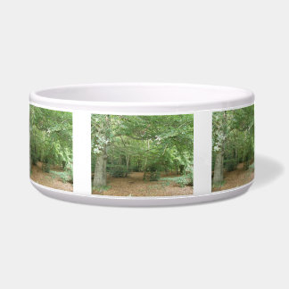 Écuelle Bois de défrichement du bol de chien