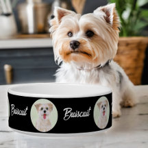 Bol à eau noir pour Morkie, forme ronde