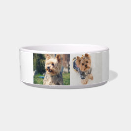 Écuelle Bol à nourriture moyen pour Yorkie « Pawsitively P