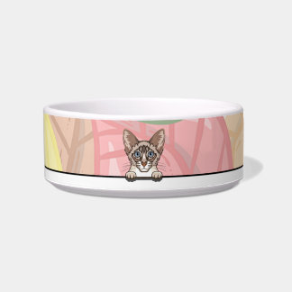 Écuelle Bol à nourriture pour chat balinais